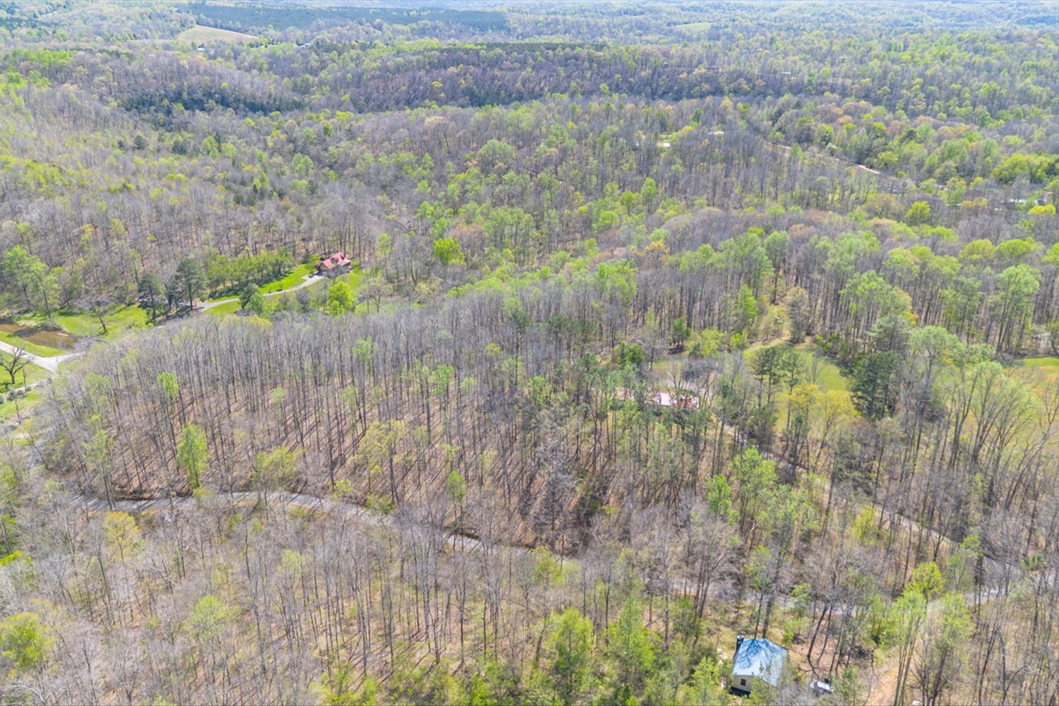 348 Spring Creek Road Westpoint, TN 38486 - Photo 70 of 84 Gallery Image 70
