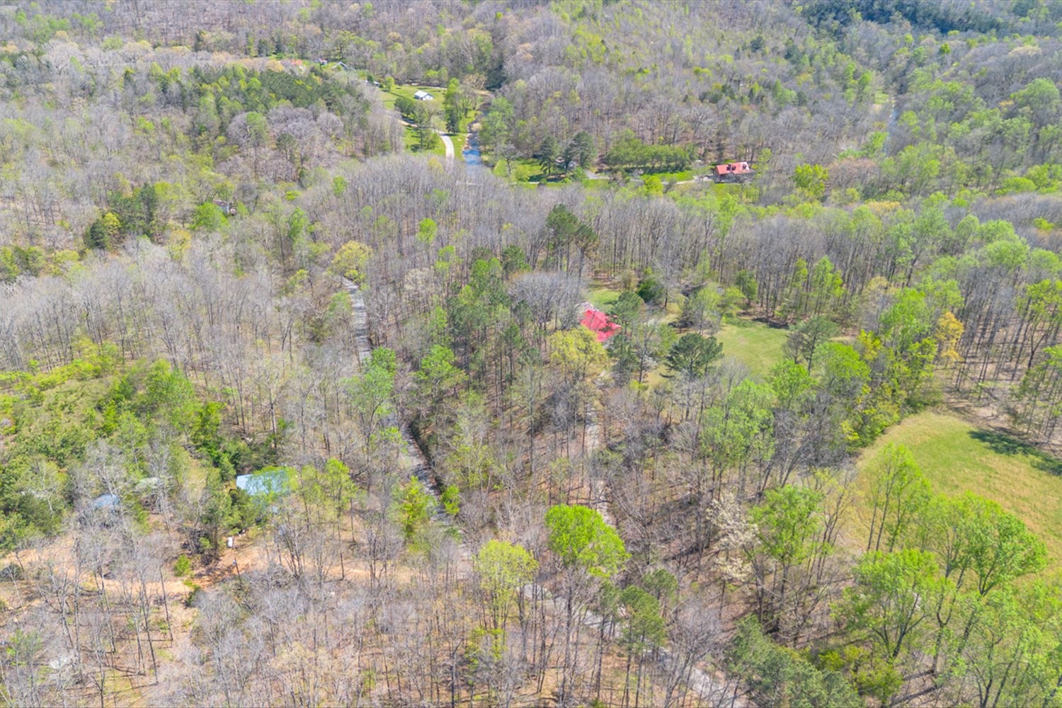 348 Spring Creek Road Westpoint, TN 38486 - Photo 74 of 84 Gallery Image 74