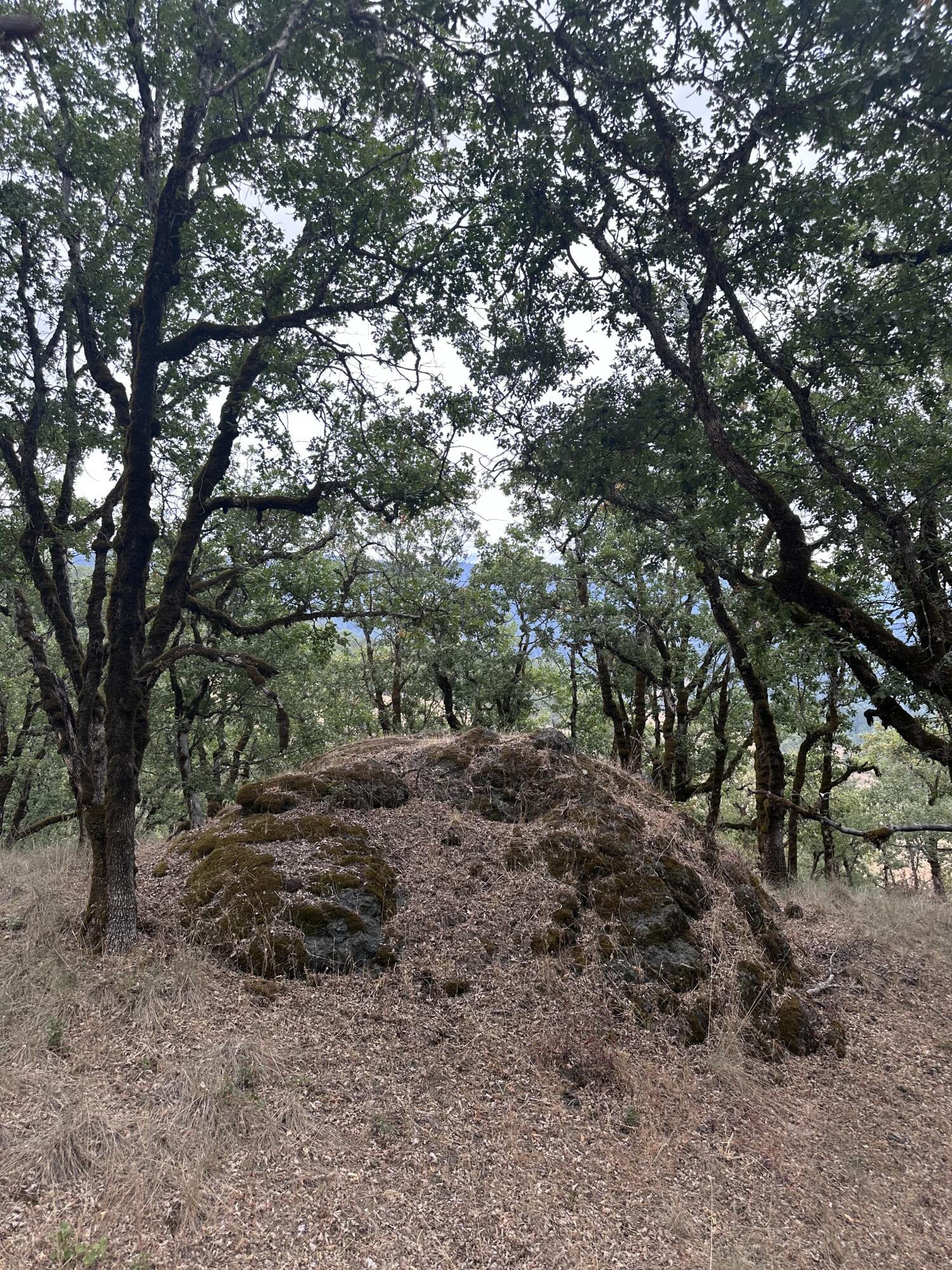 0 River Road Miranda, CA 95553 - Photo 23 of 31