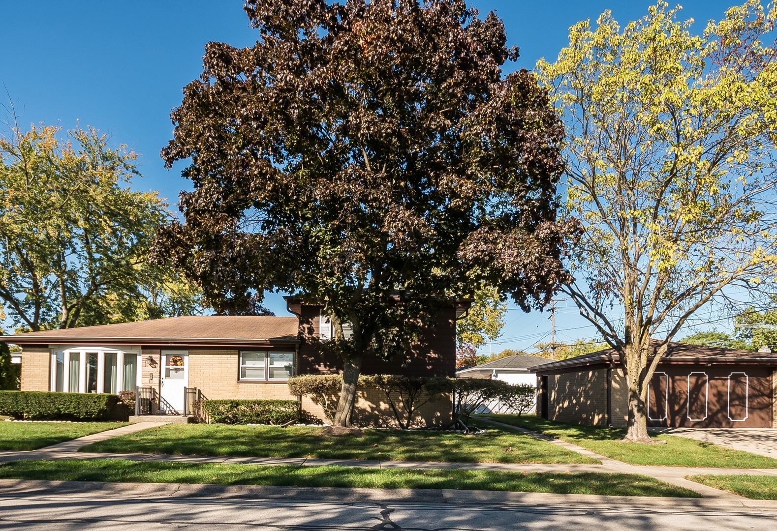 36 South Highview Avenue Addison, IL 60101 - Photo 21 of 21