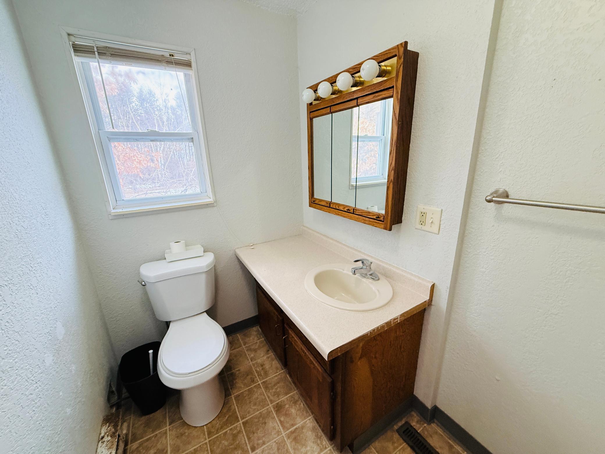 515 Carr Lake Road Southeast Bemidji, MN 56601 - Photo 12 of 30