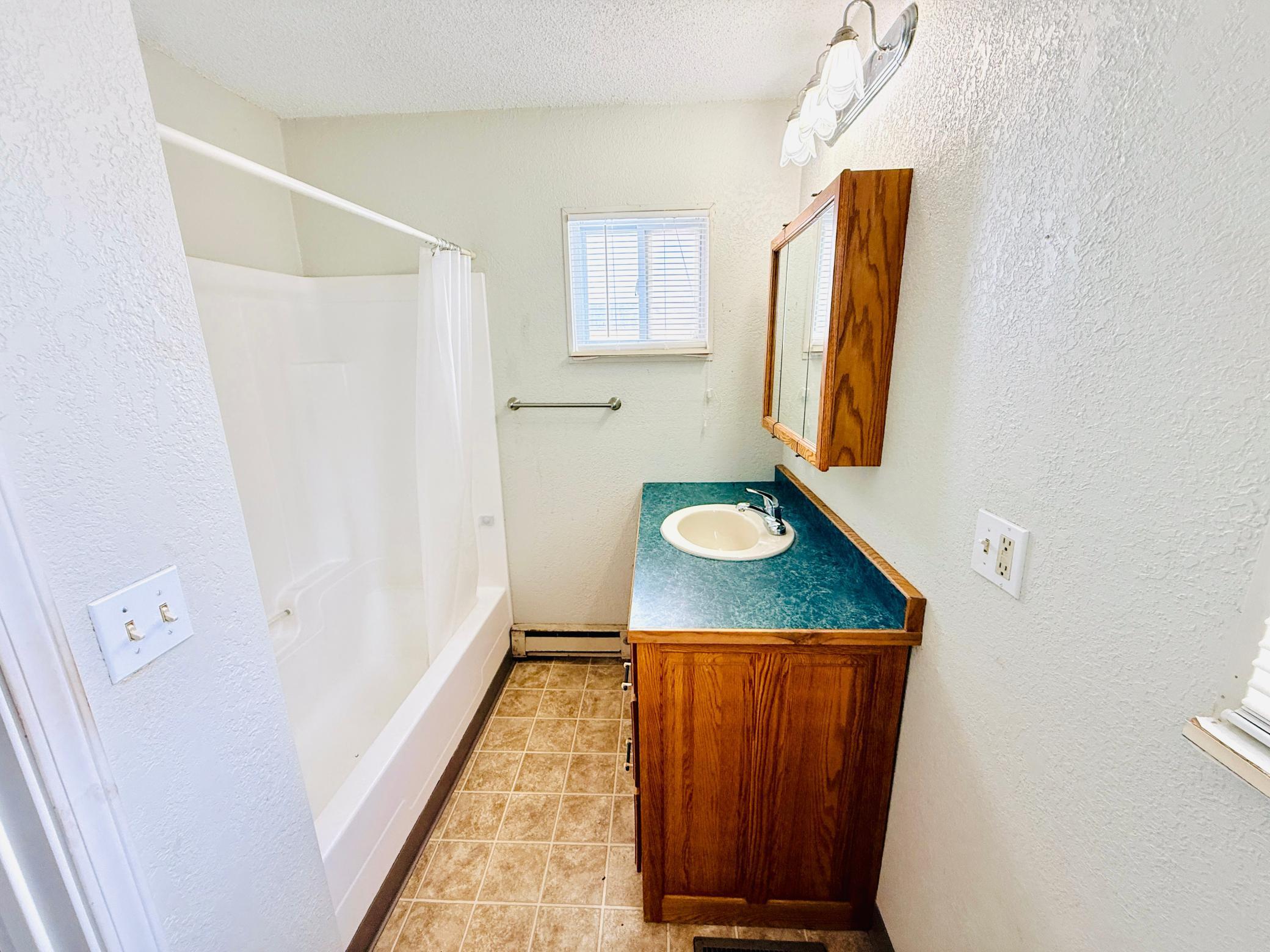 515 Carr Lake Road Southeast Bemidji, MN 56601 - Photo 8 of 30