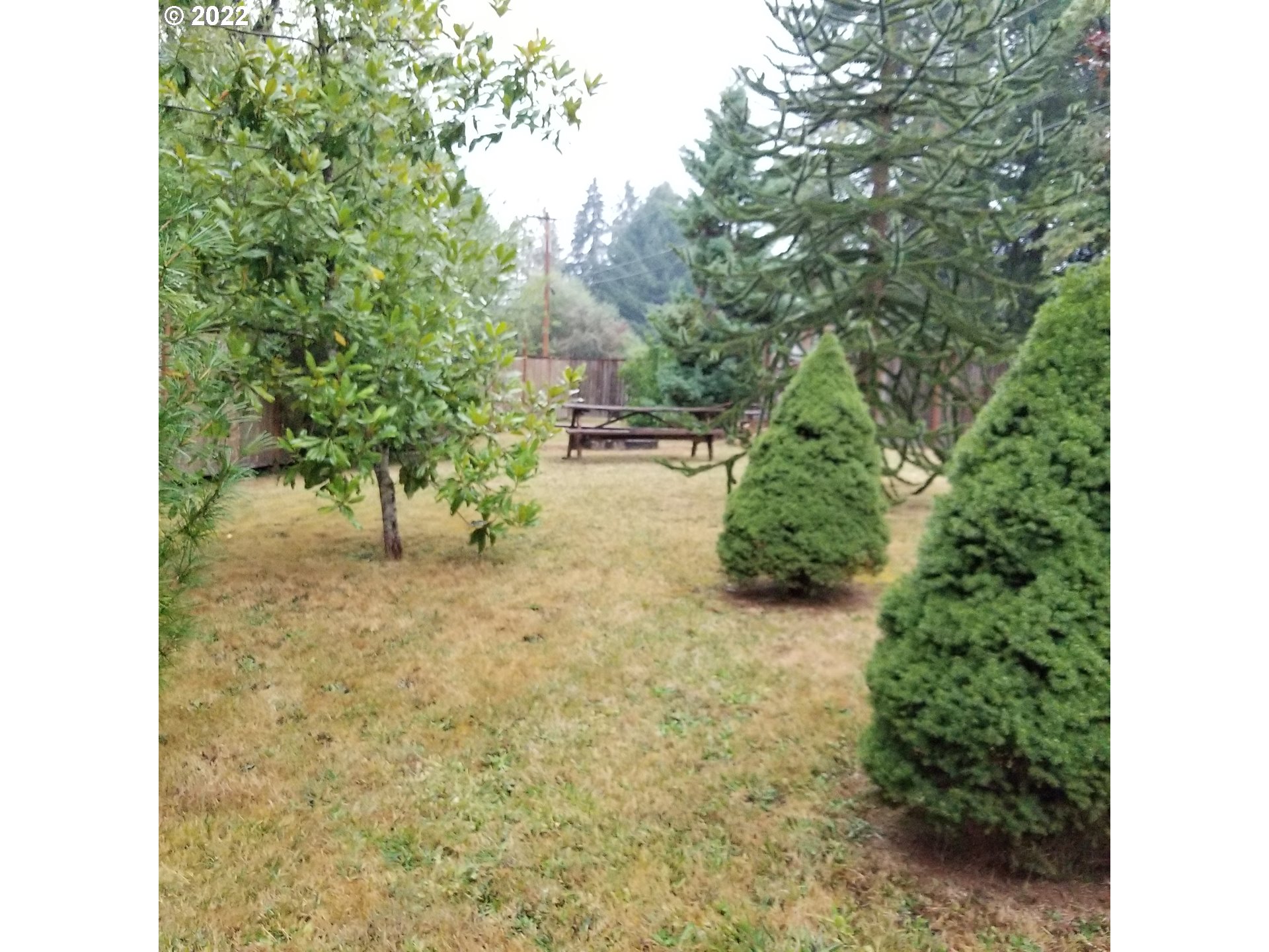 87694 Cedar Flat Road Springfield, OR 97478 - Photo 9 of 30 Gallery Image 9