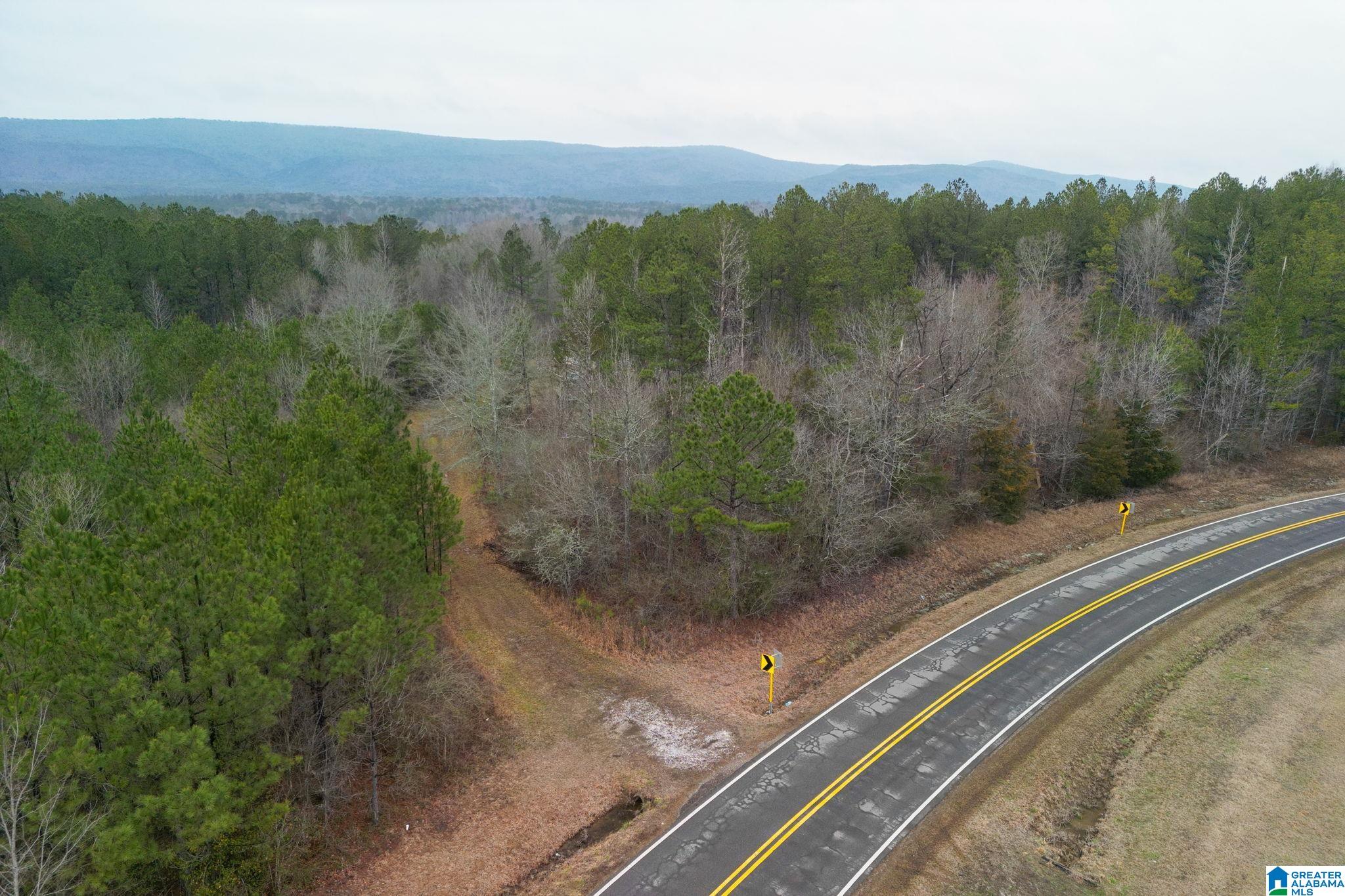 0 Highway 49 Lineville, AL 36266 - Photo 18 of 18