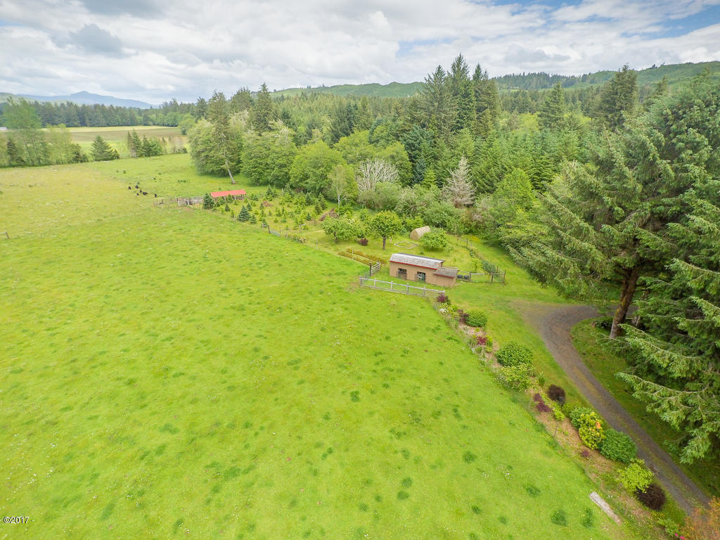 847 Hamer Road Siletz, OR 97380 - Photo 78 of 79 Pasture