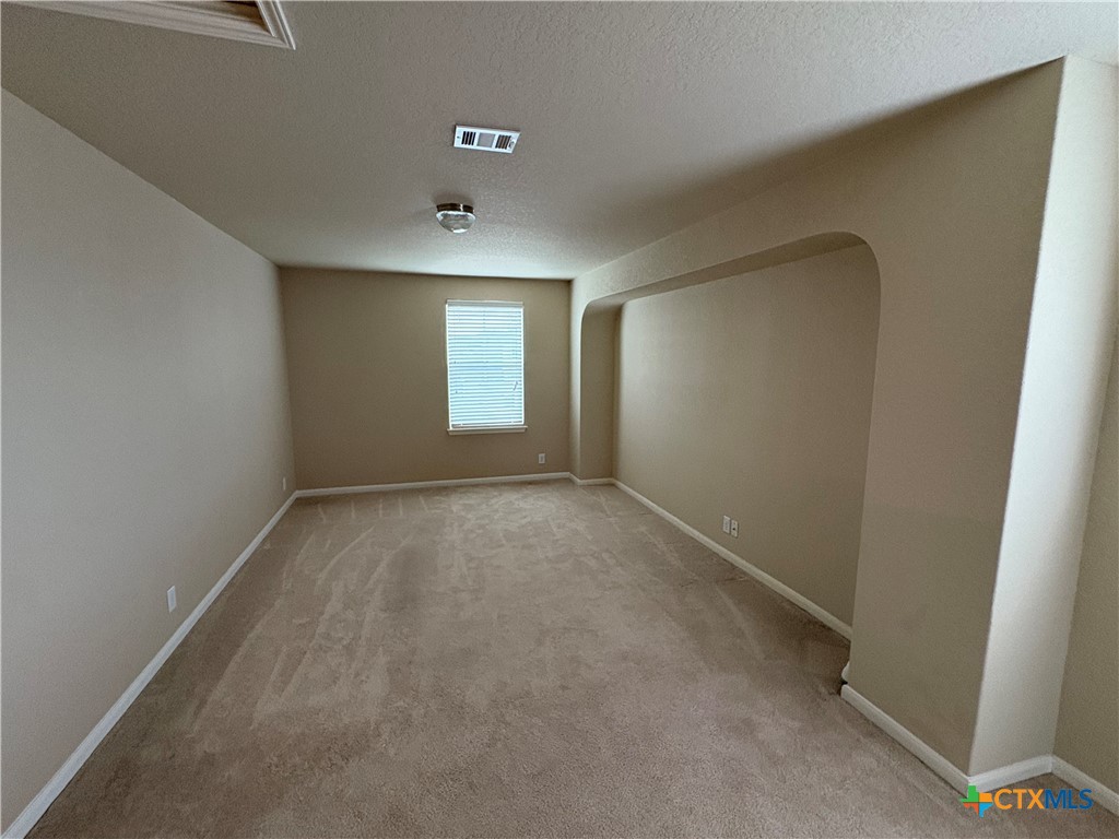 102 Wisteria Way San Marcos, TX 78666 - Photo 27 of 30 an empty room with windows