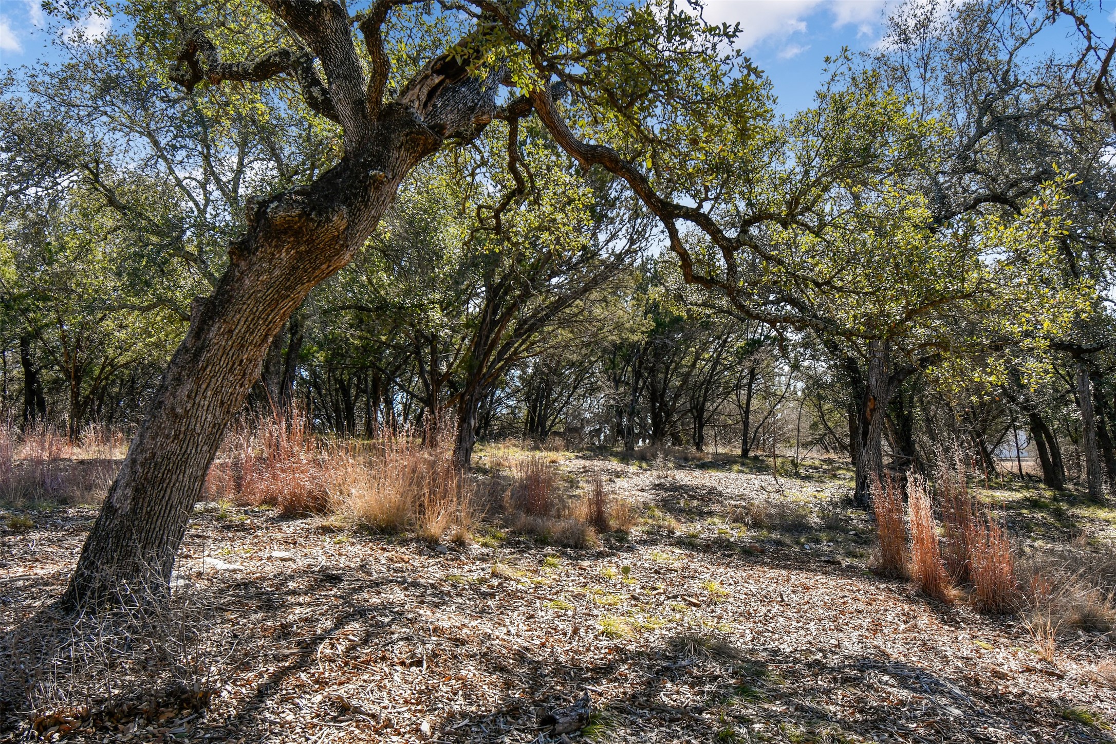 Lot K8051 Ridgeview Horseshoe Bay, TX 78657 - Photo 7 of 14 a view of a yard with a tree