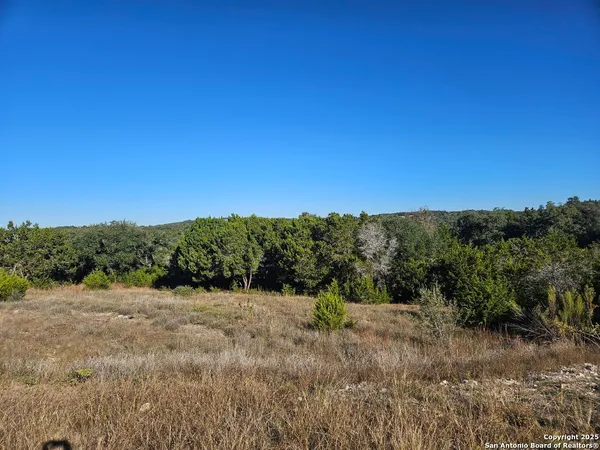 a view of a dry yard with trees in the background