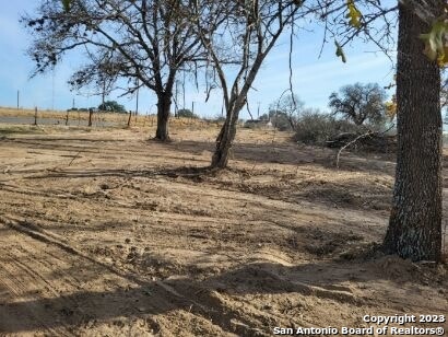 a view of yard with trees