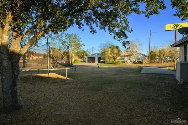a view of a park with large trees