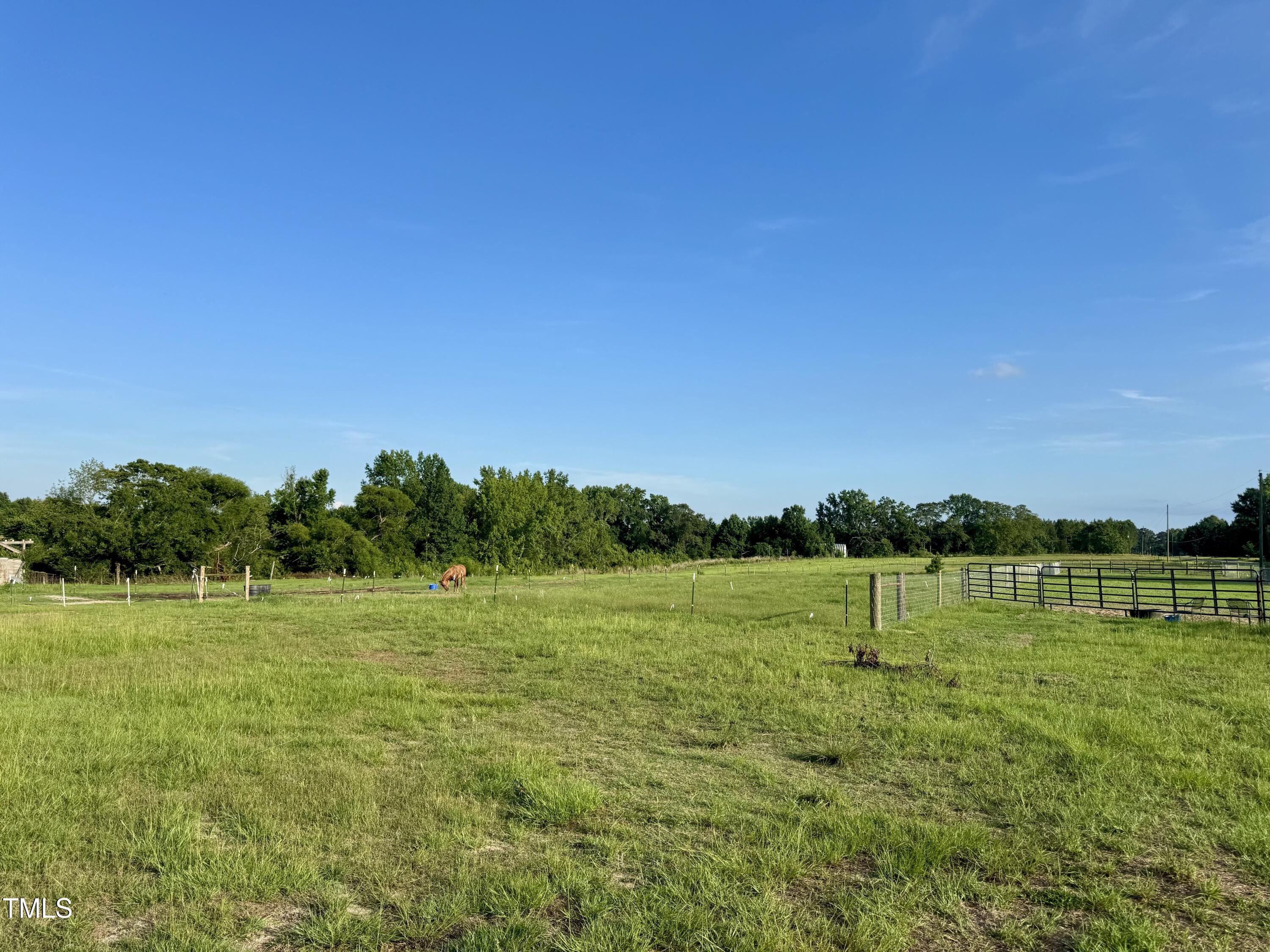 3371 Baileys Crossroads Road Benson, NC 27504 - Photo 9 of 14 Pasture