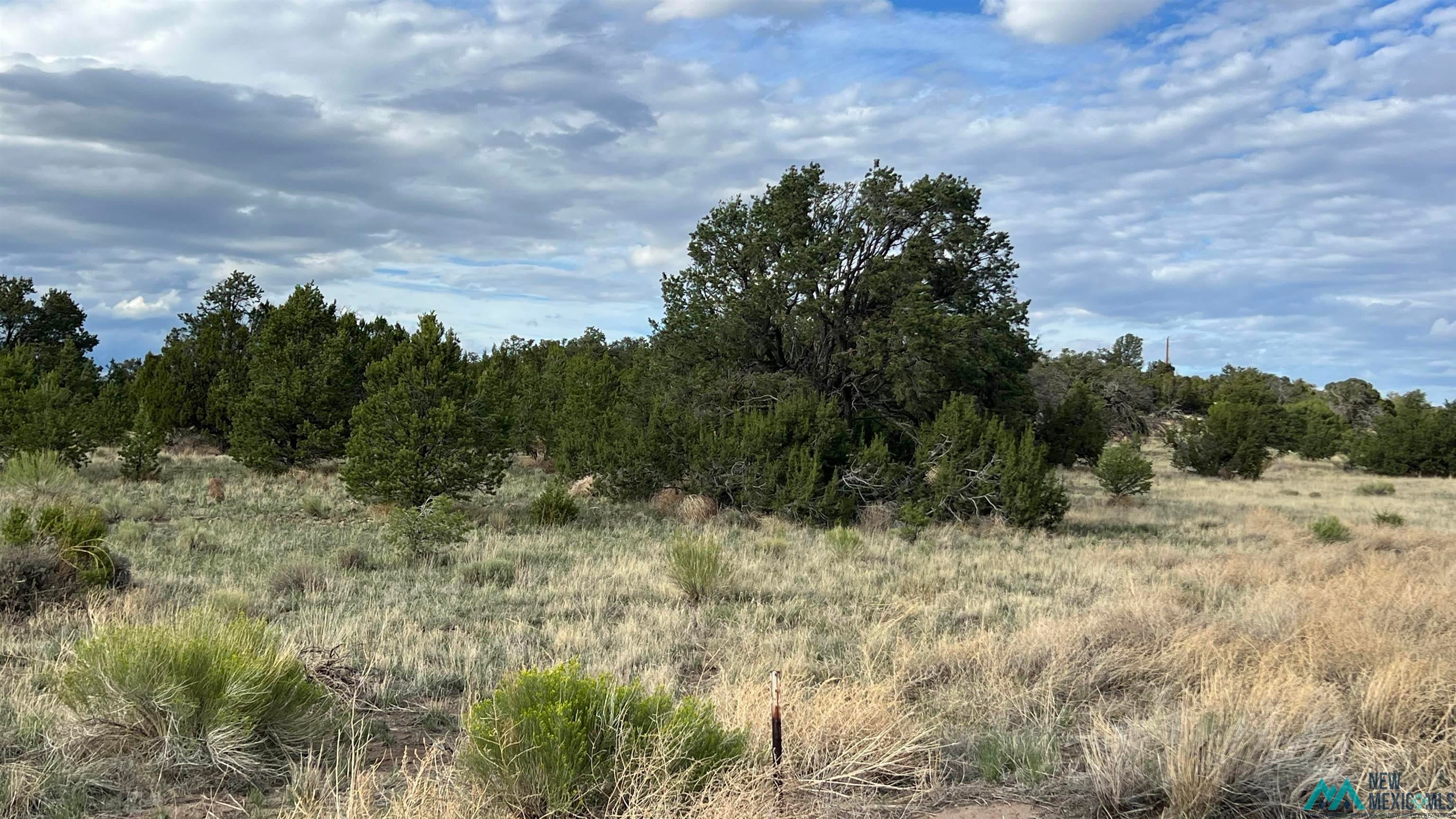 Warpath Road Quemado, NM 87829 - Photo 8 of 12 View of undeveloped land featuring rural landscape