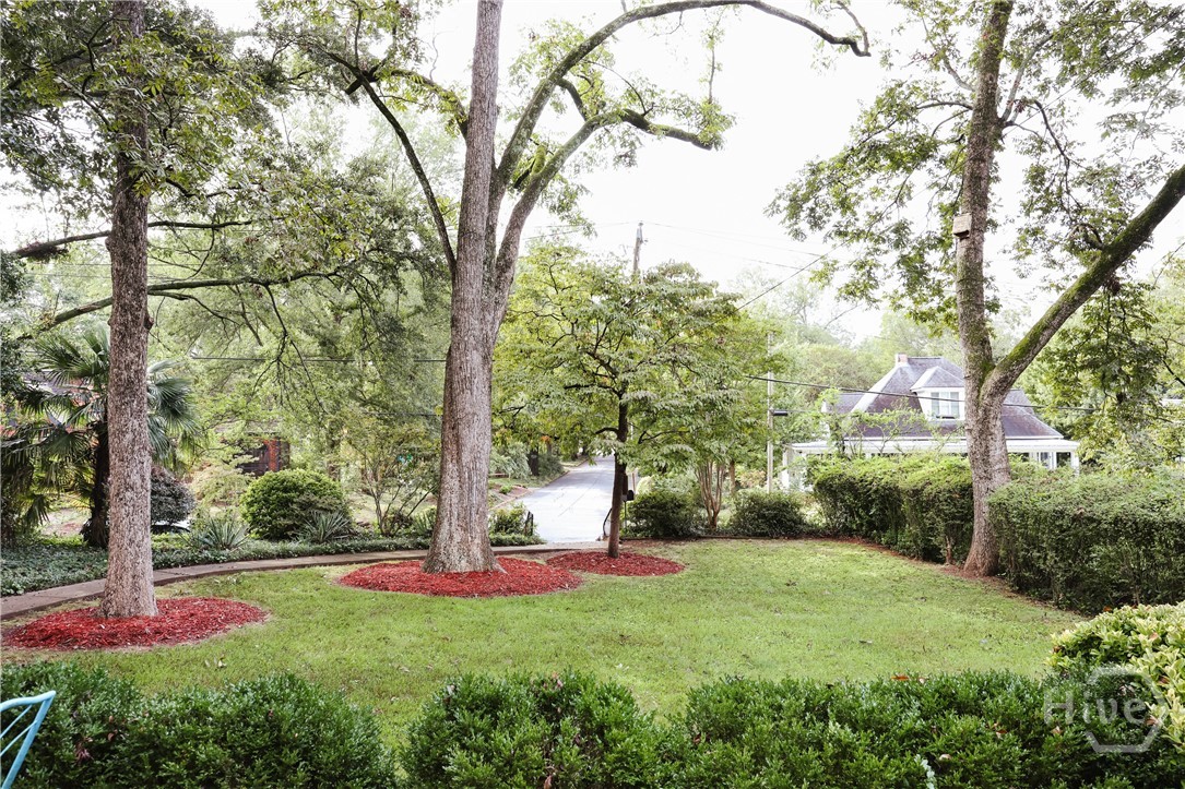 552 Cobb Street Athens, GA 30606 - Photo 47 of 55