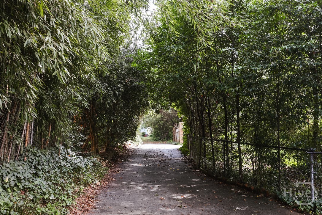 552 Cobb Street Athens, GA 30606 - Photo 51 of 55