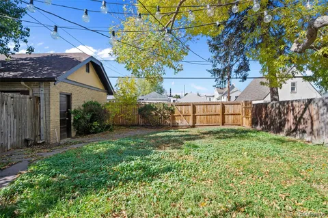 a view of backyard with plants and large tree