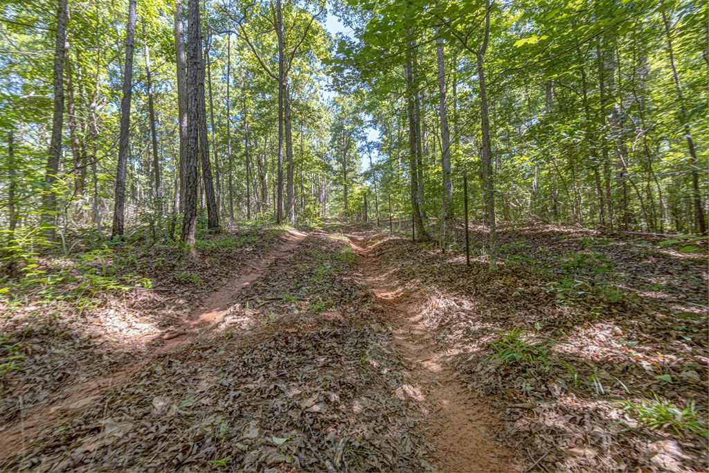 231 Lower Lovelace Road West Point, GA 31833 - Photo 19 of 49