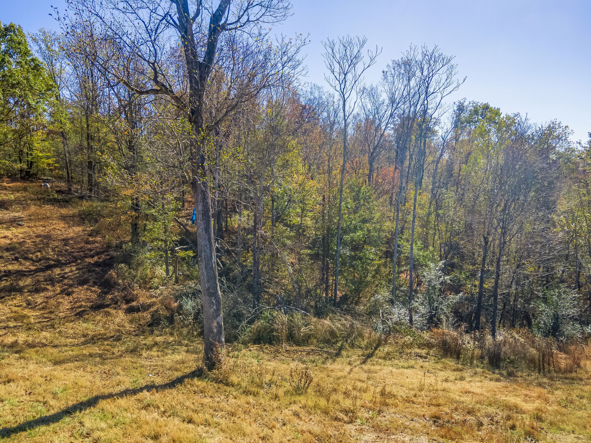 3547 Persimmon Ridge Williamsport, TN 38487 - Photo 1 of 21 Gallery Image 1