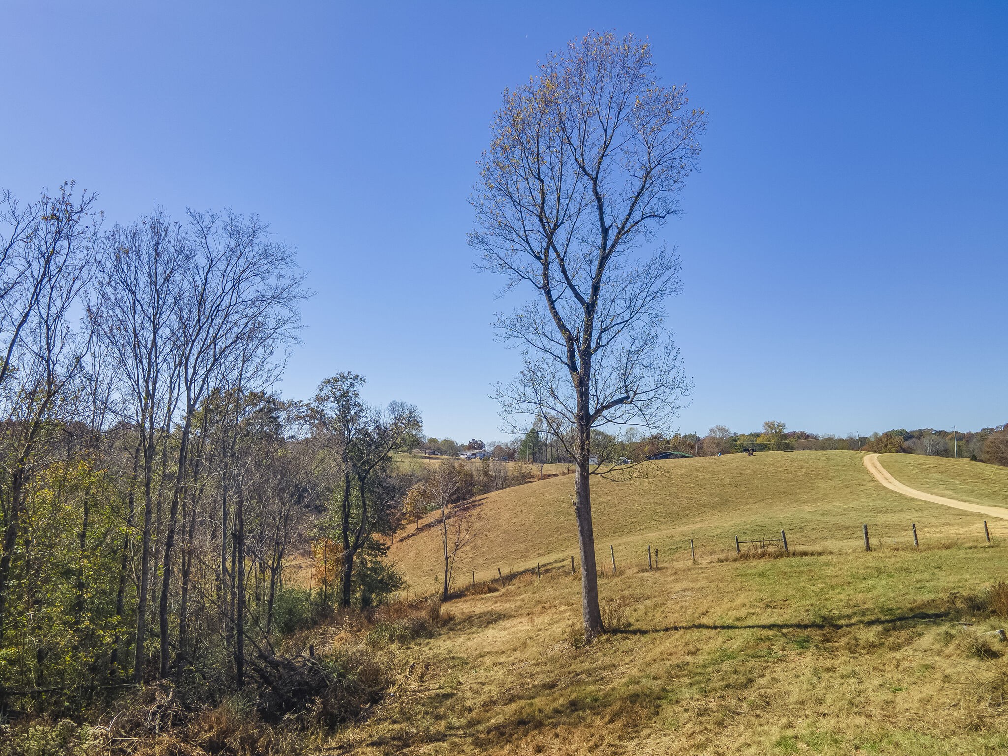 3547 Persimmon Ridge Williamsport, TN 38487 - Photo 2 of 21 Gallery Image 2