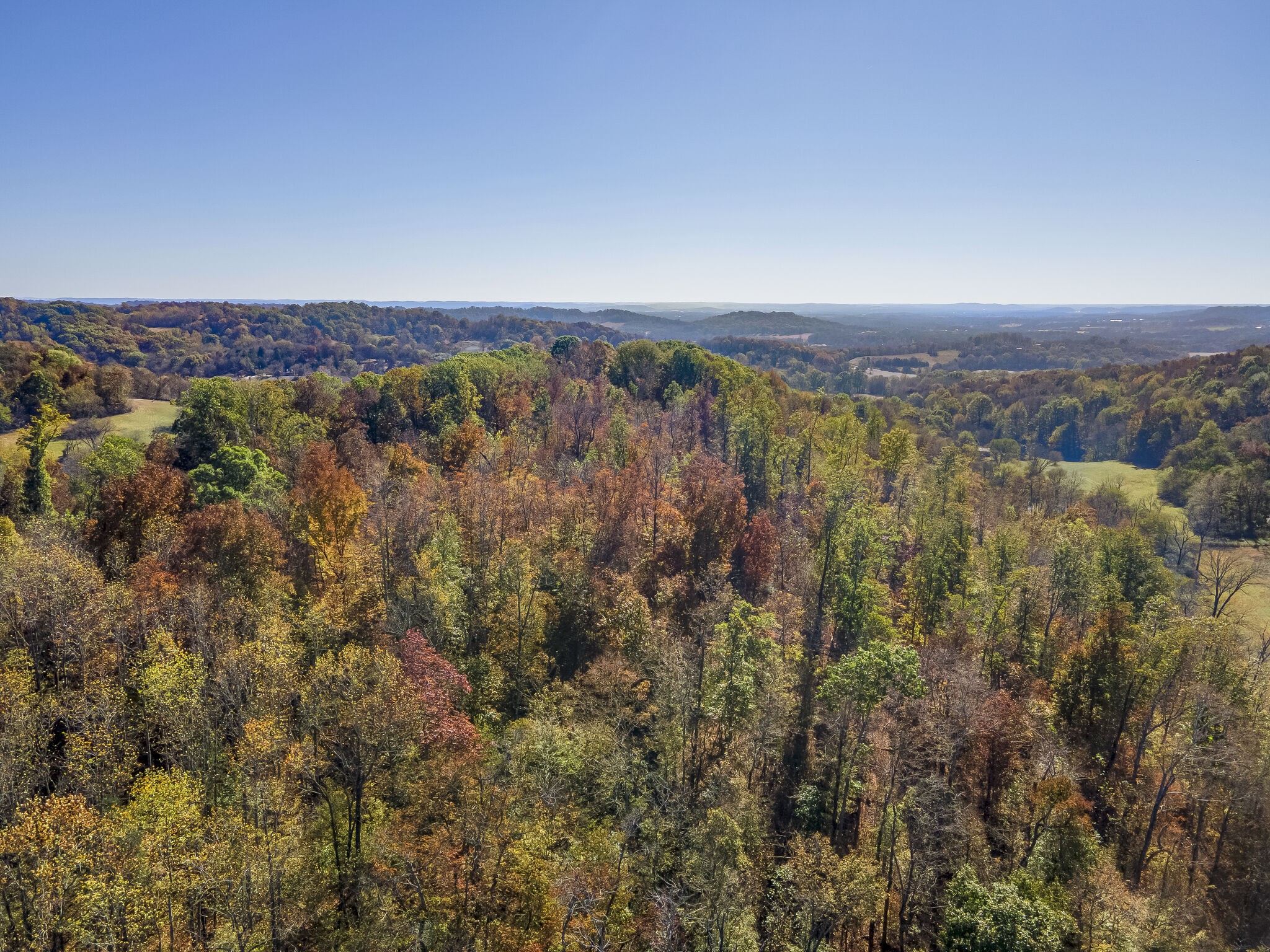 3547 Persimmon Ridge Williamsport, TN 38487 - Photo 4 of 21 Gallery Image 4