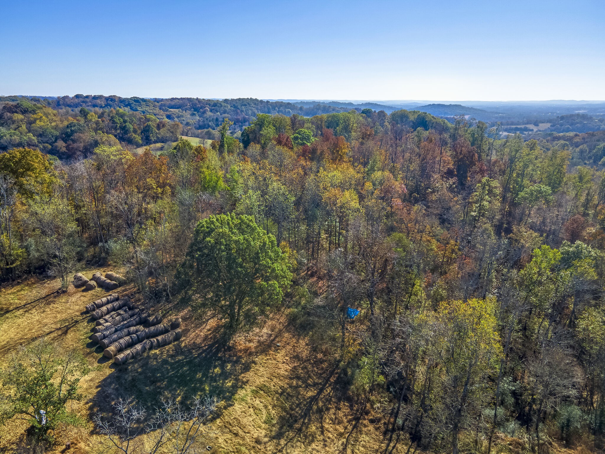 3547 Persimmon Ridge Williamsport, TN 38487 - Photo 5 of 21 Gallery Image 5