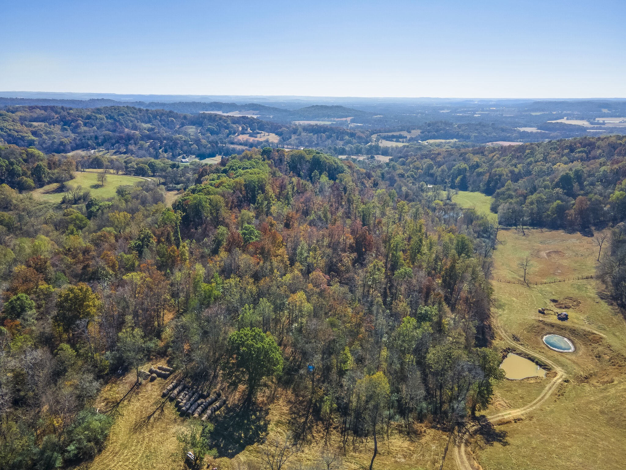 3547 Persimmon Ridge Williamsport, TN 38487 - Photo 6 of 21 Gallery Image 6