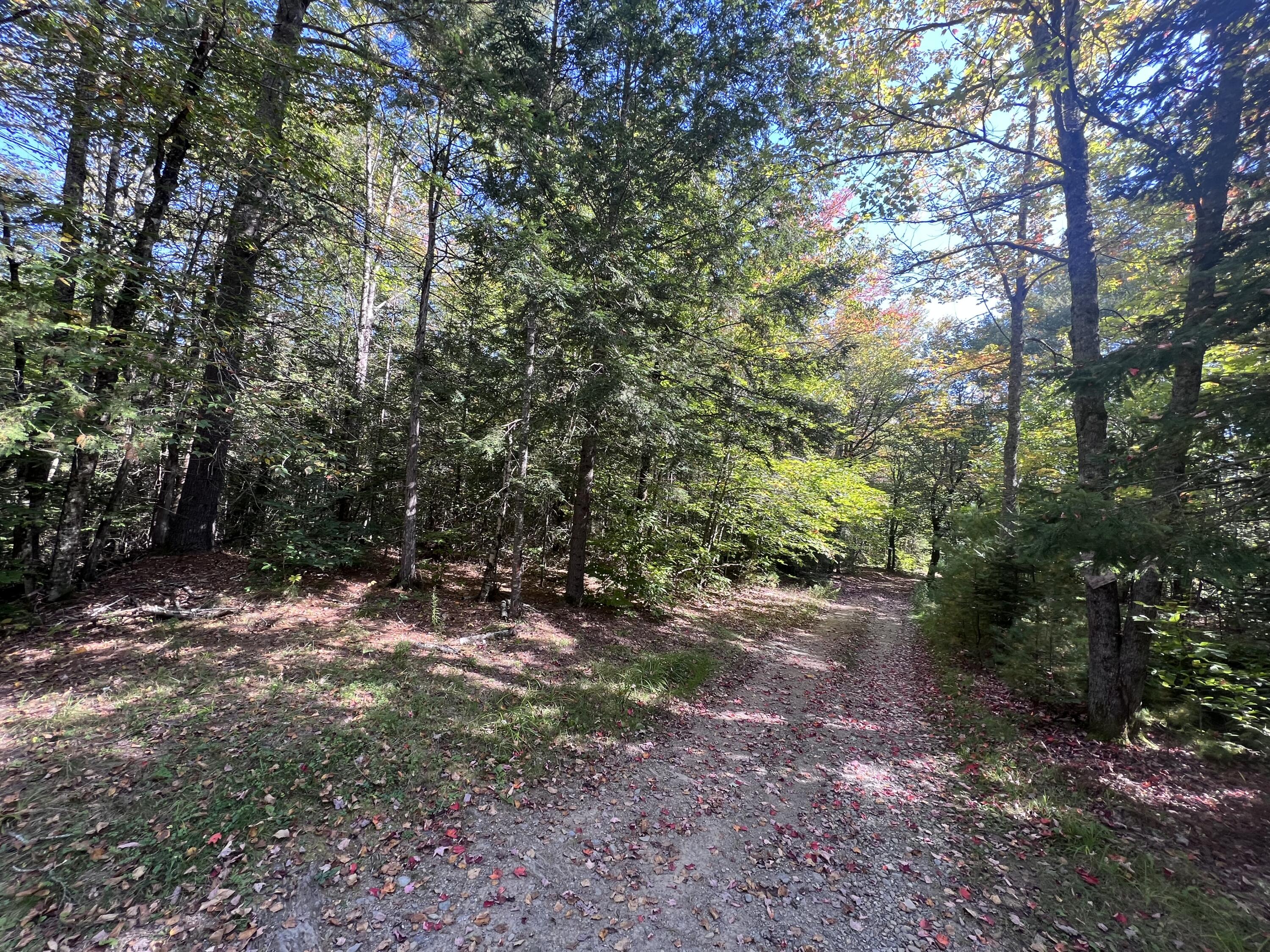 Lot 4 Brooks Pond Road Corinna, ME 04928 - Photo 5 of 11 IMG_4433