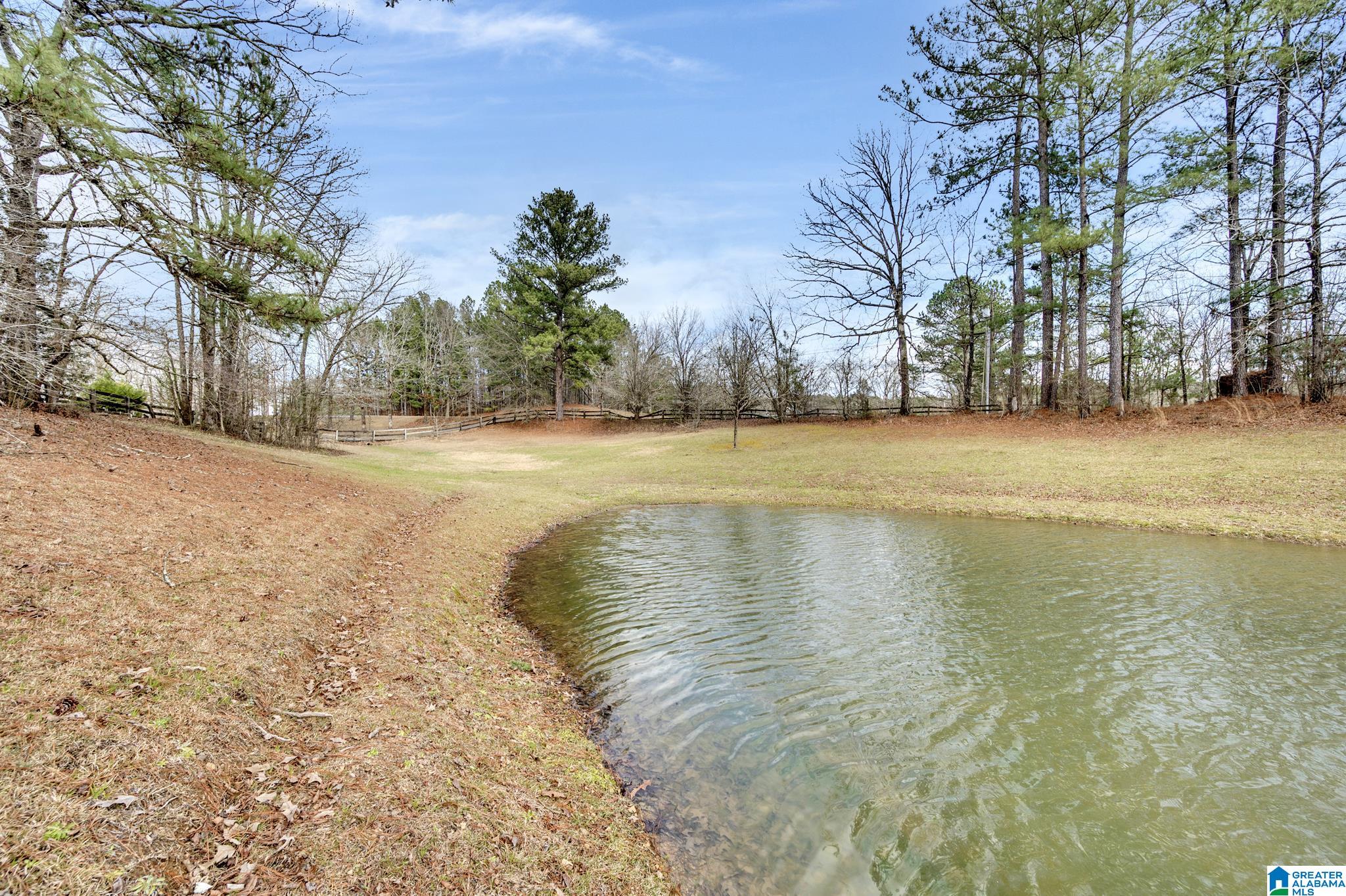 245 Skyview Trail Trafford, AL 35172 - Photo 32 of 34
