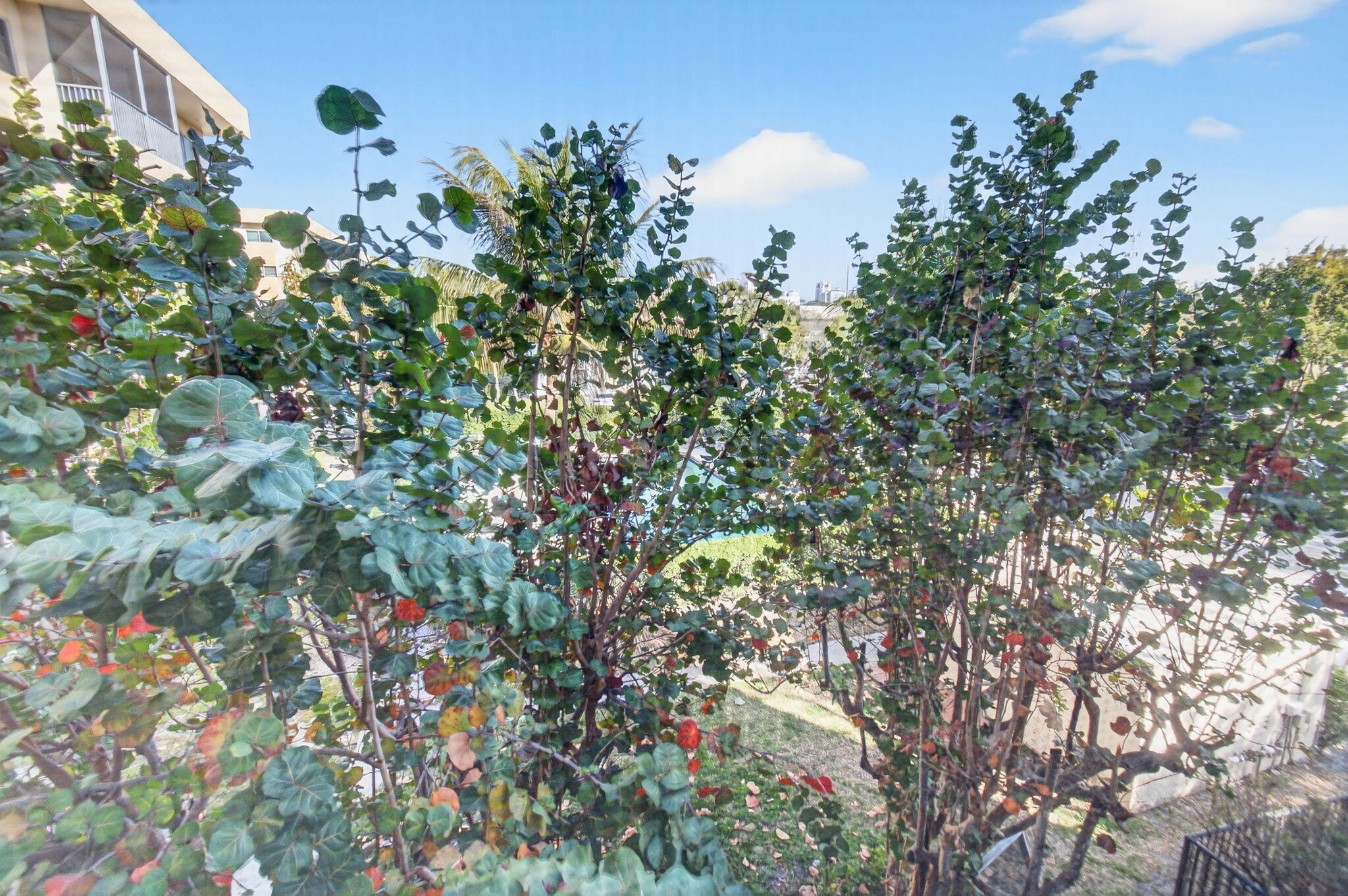 50 Southwest 3rd Avenue, Unit 311 Boca Raton, FL 33432 - Photo 13 of 65 28-web-or-mls-DSC_8213