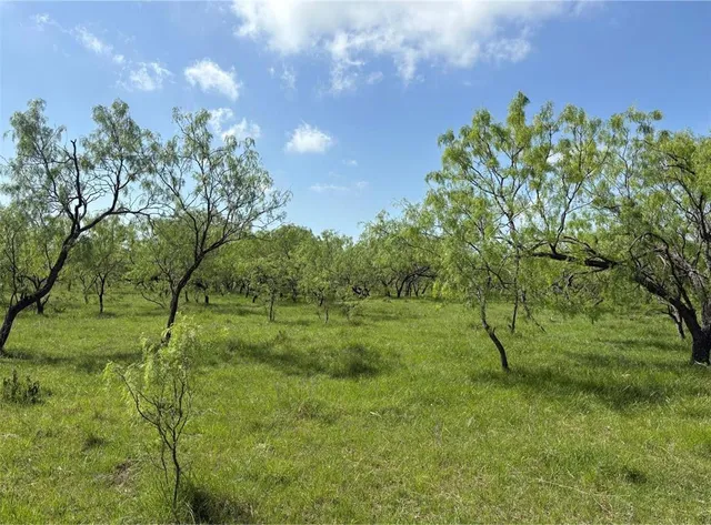 a view of a green field with lots of bushes