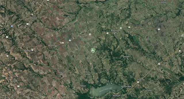 a close up of a plant in a building