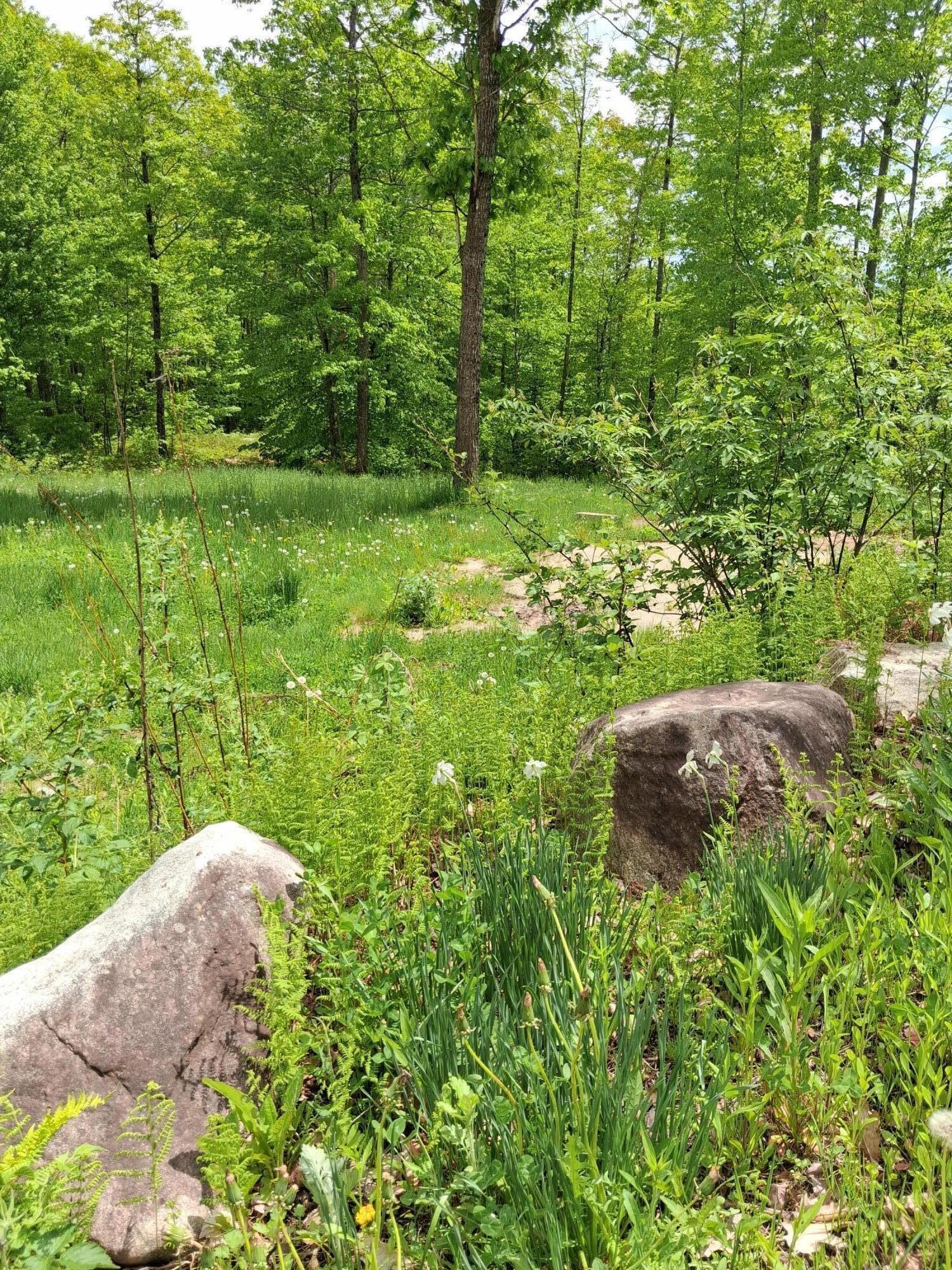 209 Adams Road Chesterville, ME 04938 - Photo 7 of 9 Land