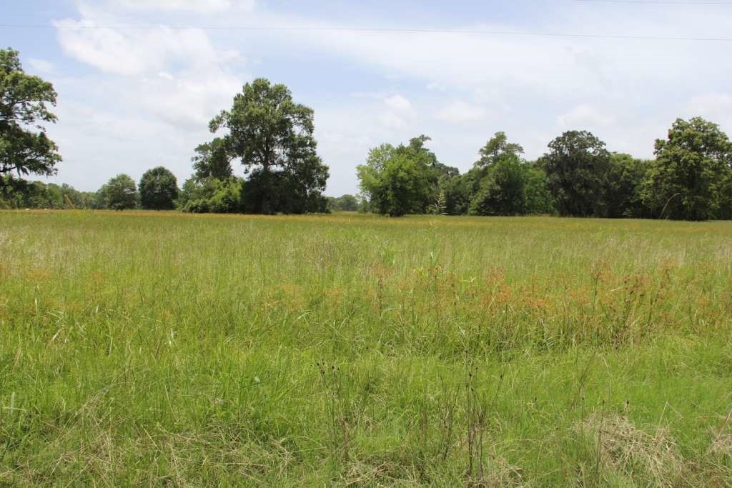62 Laurel Court Cleveland, TX 77327 - Photo 23 of 28 a view of an ocean from a yard