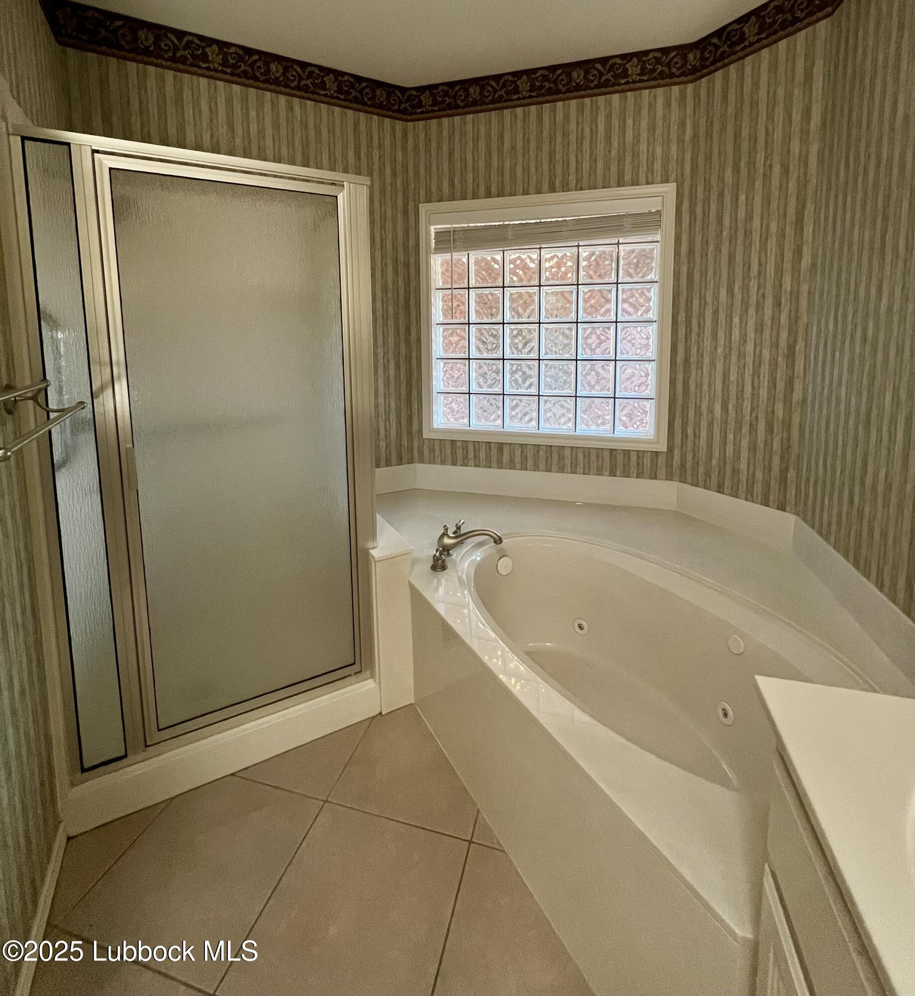 9802 Toledo Avenue Lubbock, TX 79424 - Photo 28 of 64 a spacious bathroom with a bathtub and a shower