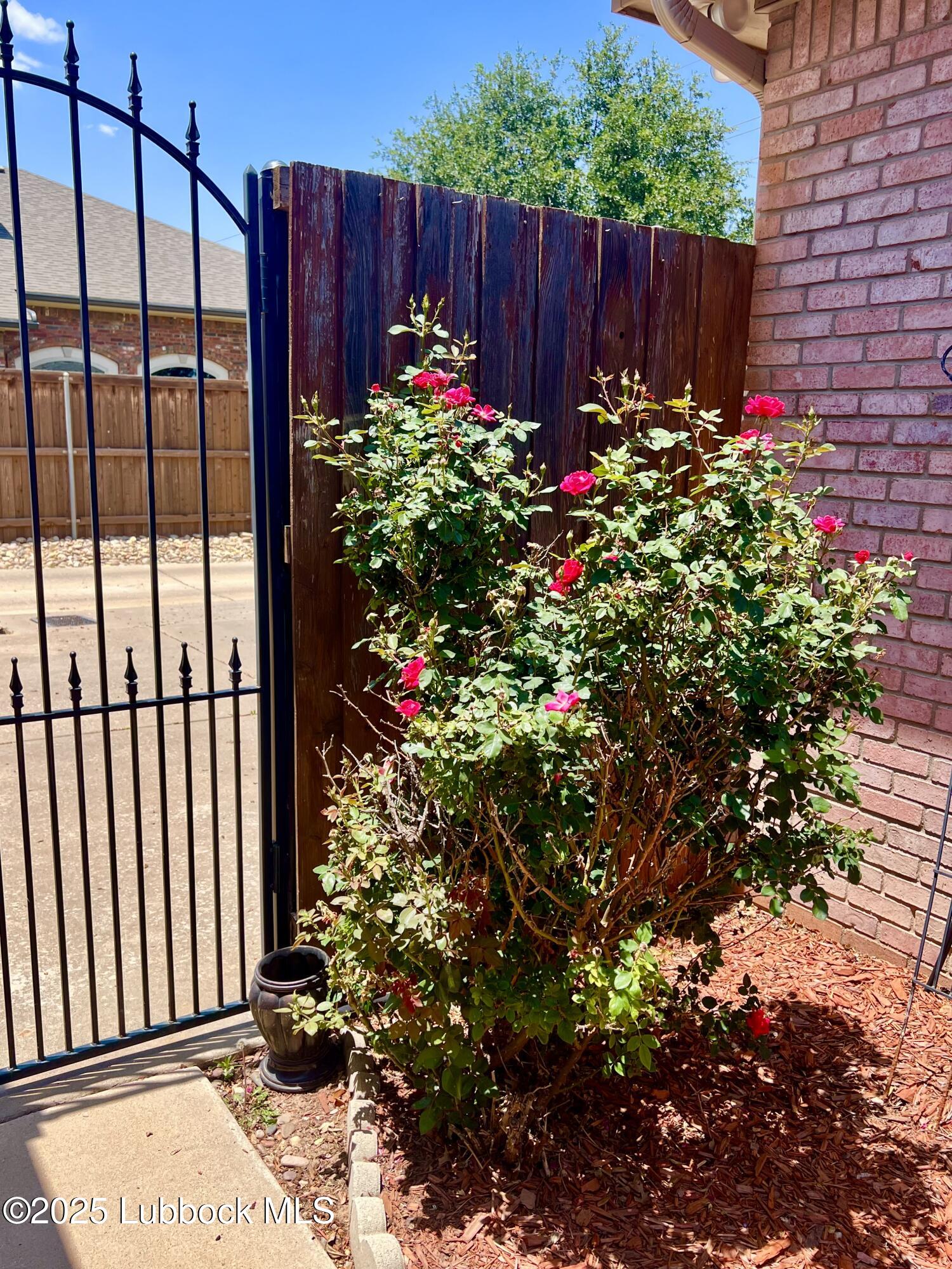 9802 Toledo Avenue Lubbock, TX 79424 - Photo 41 of 64 Backyard 5, 2 01 03 PM