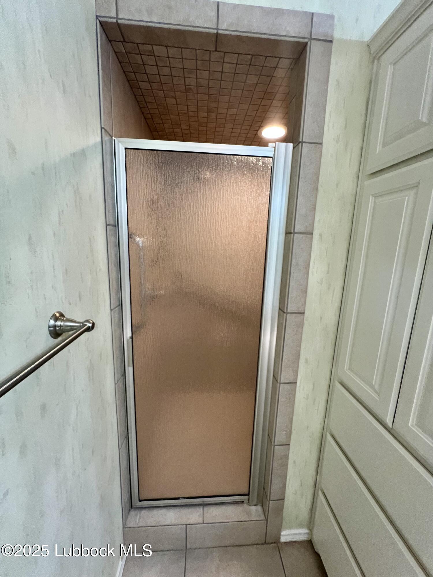 9802 Toledo Avenue Lubbock, TX 79424 - Photo 56 of 64 a bathroom with a glass shower door