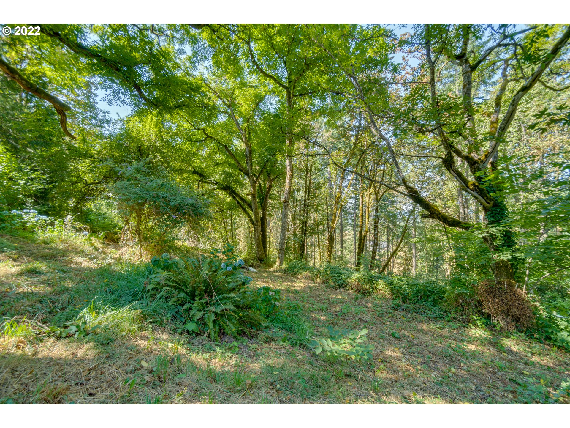 16636 Forsythe Road Oregon City, OR 97045 - Photo 26 of 29