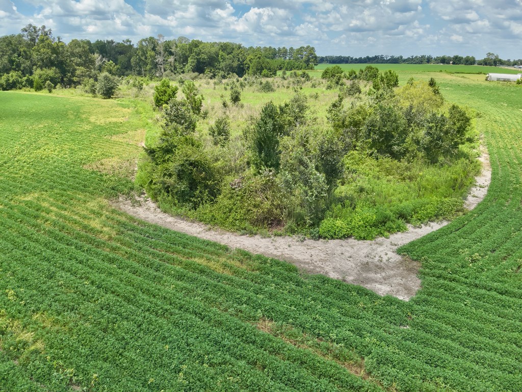 92-acres Bazemore Mill Pond Road Gordon, AL 36343 - Photo 9 of 15