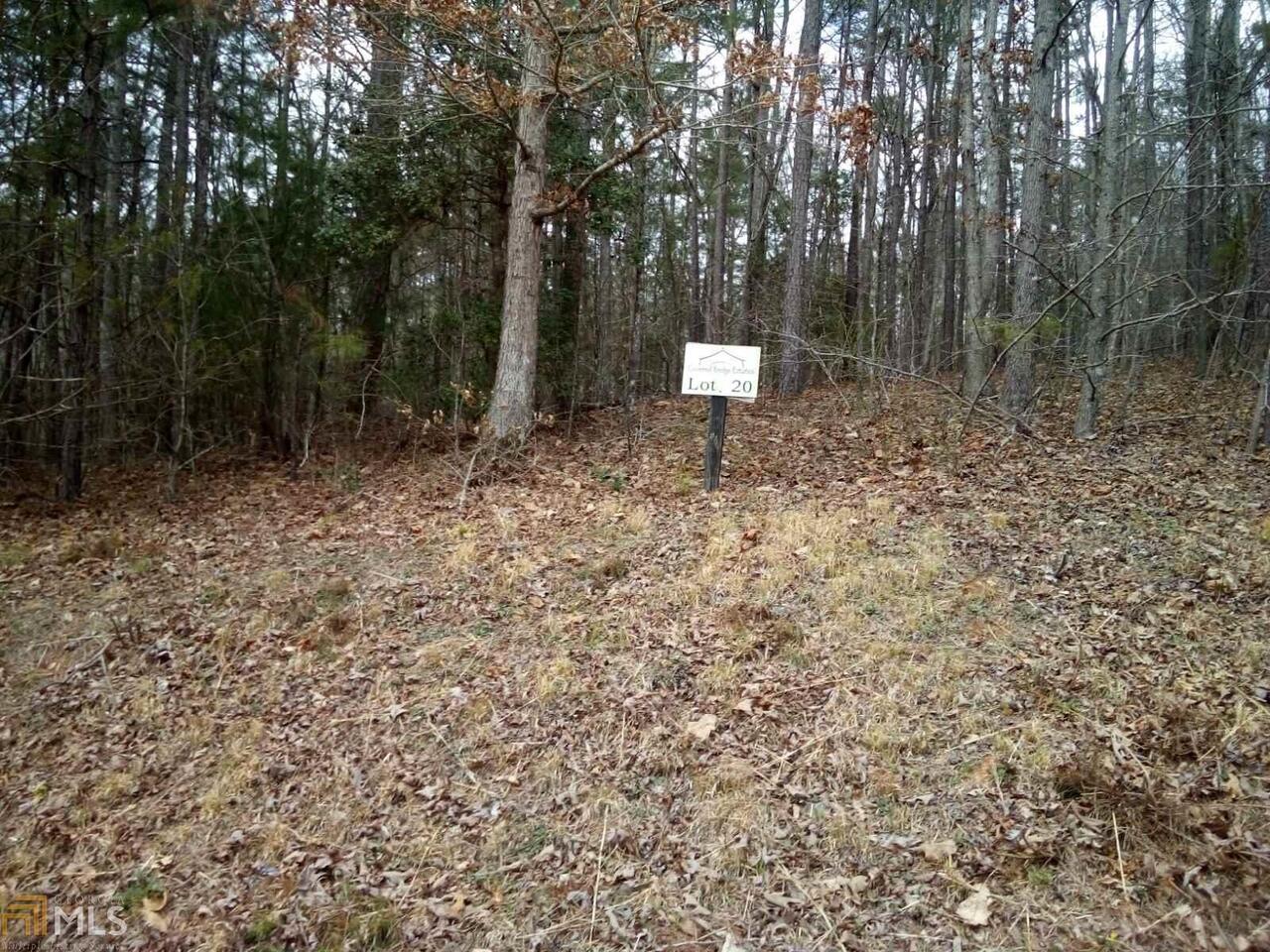 0 Bridge Road, Unit LOT 20 Ellijay, GA 30540 - Photo 1 of 1 Gallery Image 1