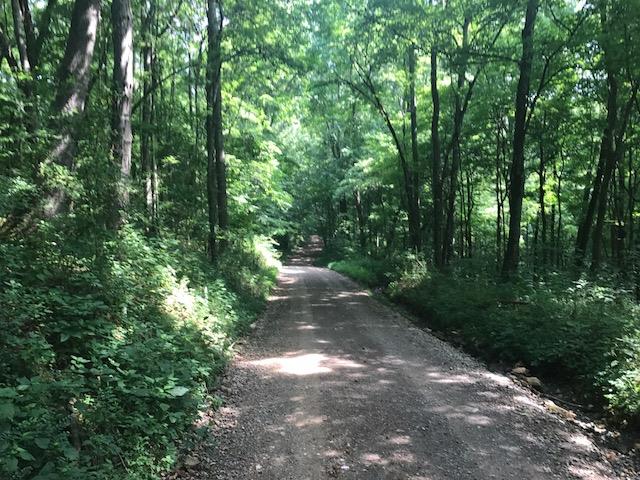 209 Lewis Road Dover, TN 37058 - Photo 12 of 12 Gallery Image 12