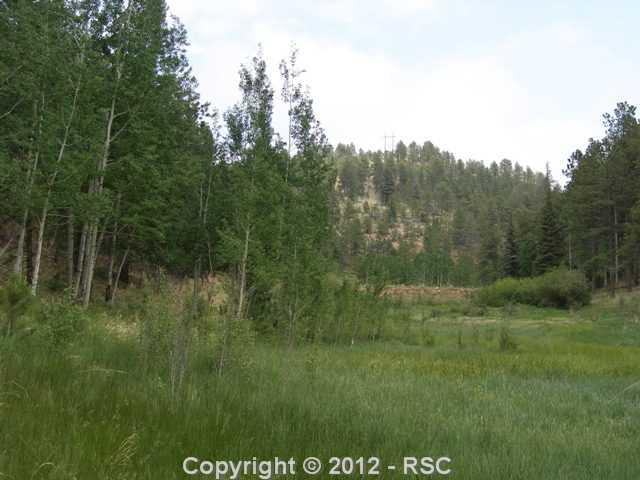 581 Mills Ranch Road Woodland Park, CO 80863 - Photo 11 of 16 Gallery Image 11