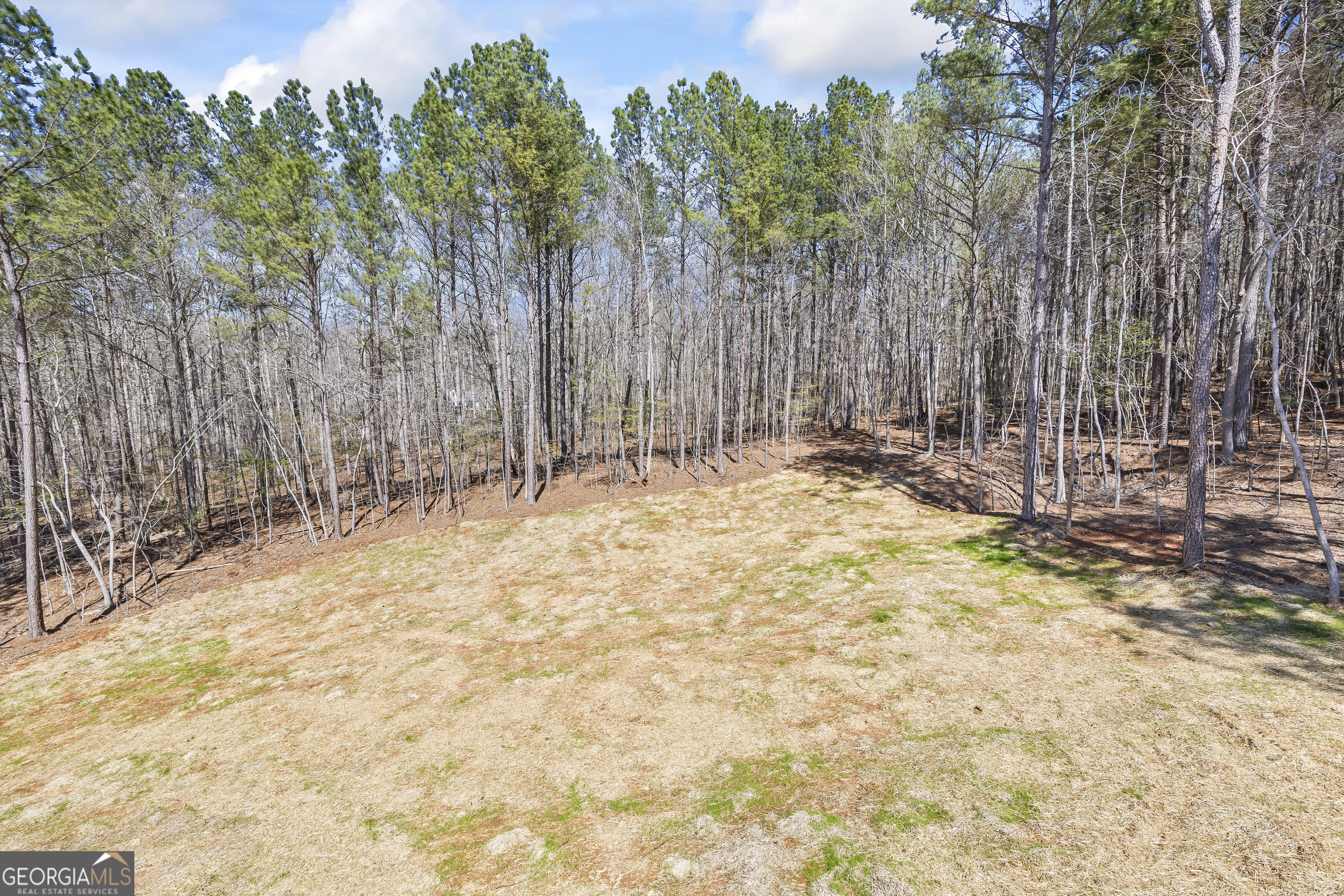 1229 Morgans Run Monroe, GA 30656 - Photo 44 of 54
