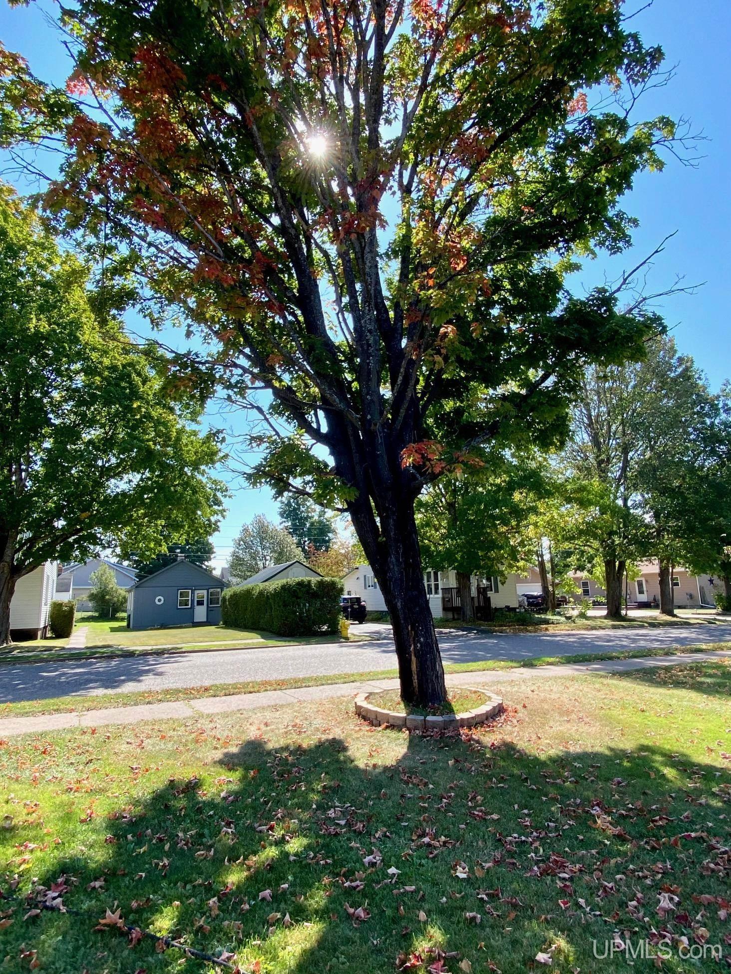 829 Michigan Street Ishpeming, MI 49849 - Photo 42 of 42 Gallery Image 42