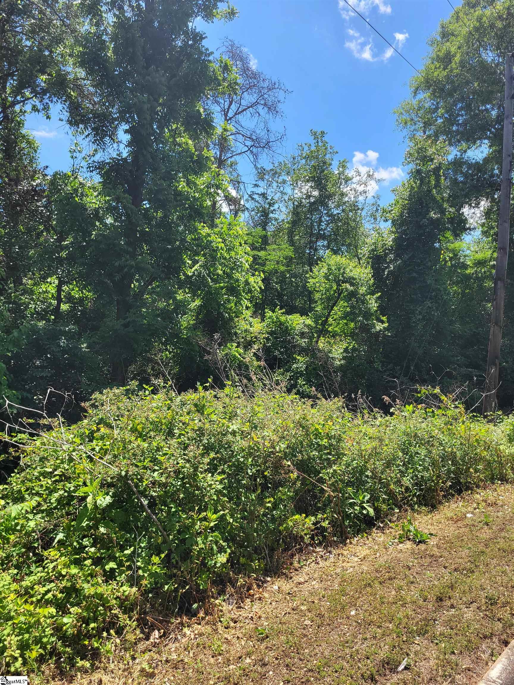160 Lincoln Road Taylors, SC 29687 - Photo 1 of 2