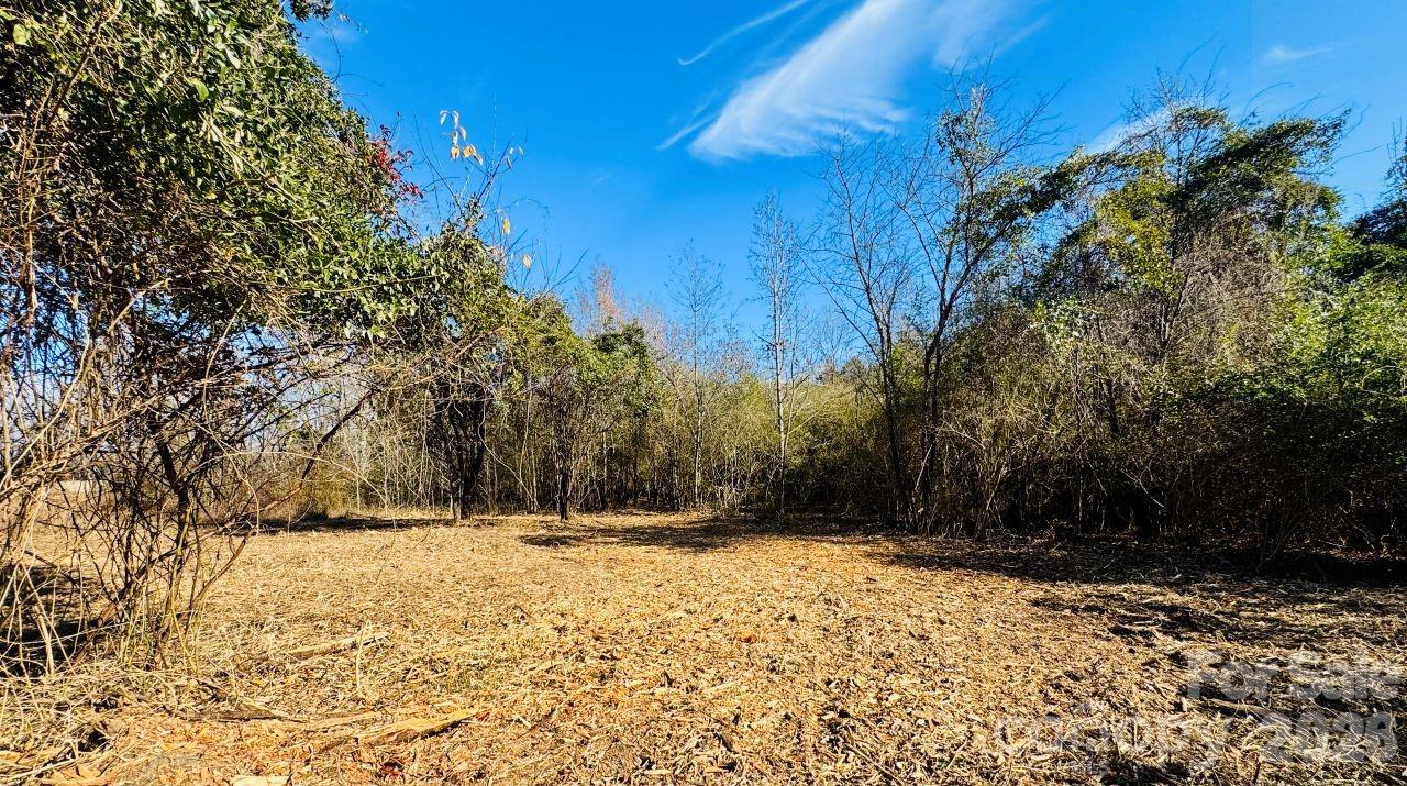3608 Kentyre Road Hamer, SC 29547 - Photo 4 of 8 a view of yard covered with snow in front of house