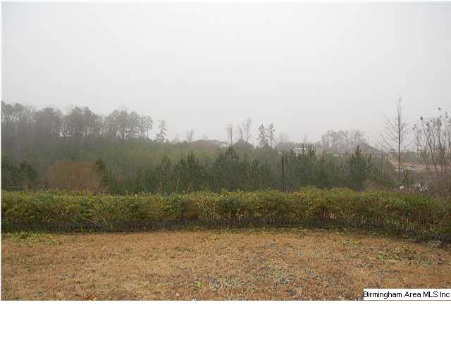 624 Foothills Trace Chelsea, AL 35043 - Photo 19 of 22