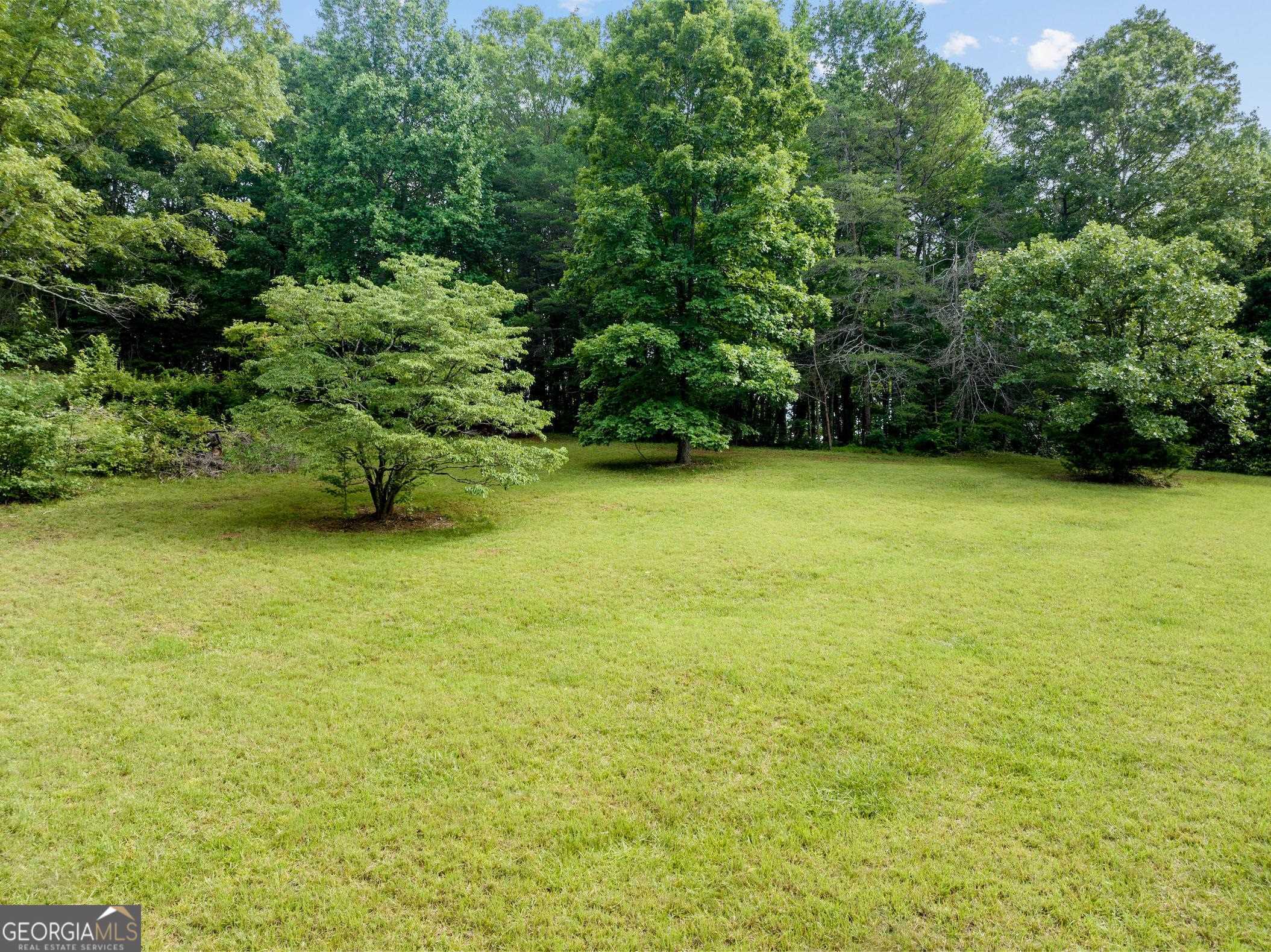 966 Wahoo Creek Road Murrayville, GA 30564 - Photo 66 of 81