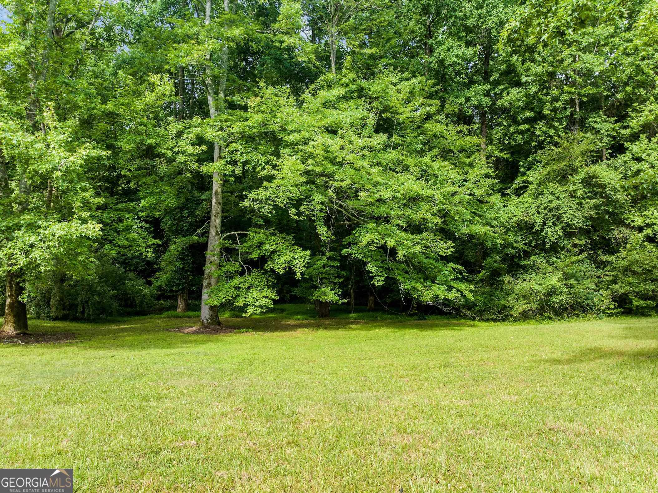 966 Wahoo Creek Road Murrayville, GA 30564 - Photo 67 of 81