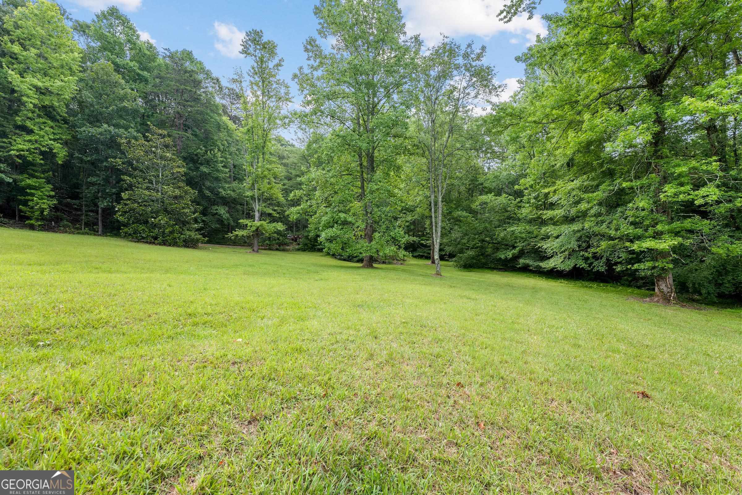 966 Wahoo Creek Road Murrayville, GA 30564 - Photo 68 of 81