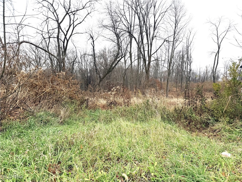 Tbd Greenbrier Road Weirton, WV 26062 - Photo 1 of 1 View of lot