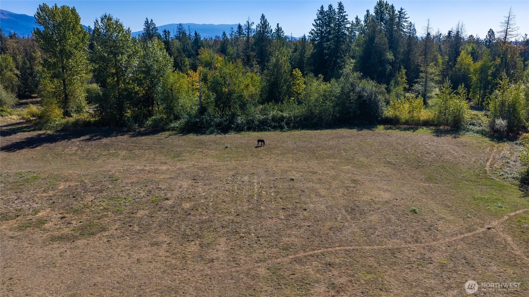 2753 East Badger Road Everson, WA 98247 - Photo 13 of 15 Gallery Image 13